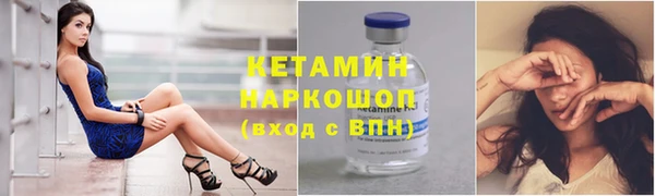 индика Вяземский